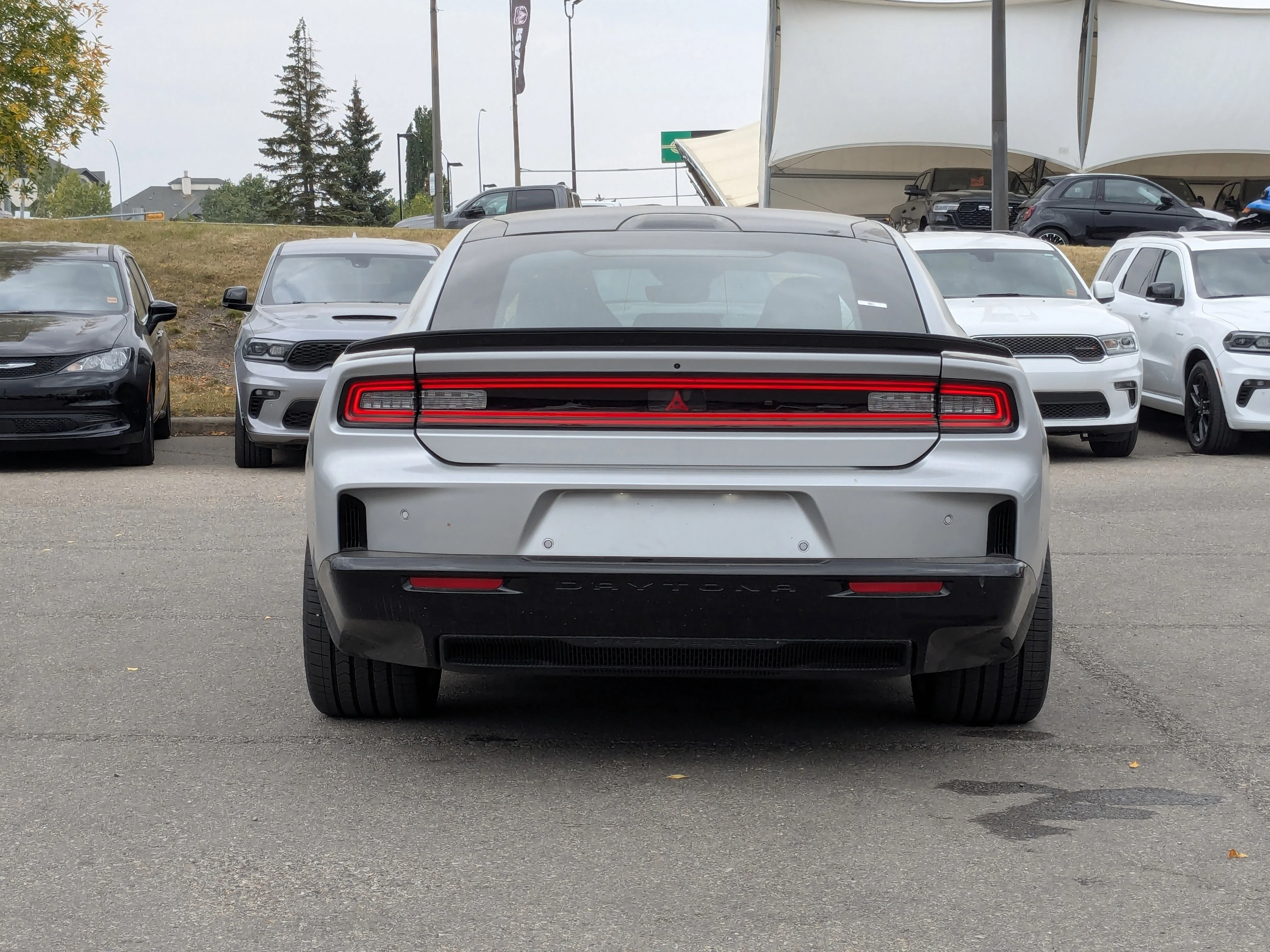 New 2024 triple nickel Dodge Scat Pack - - Dinamica Perf Seats - Plus Group - Sun & Sound - Carbon & Suade & Tons More! image 7