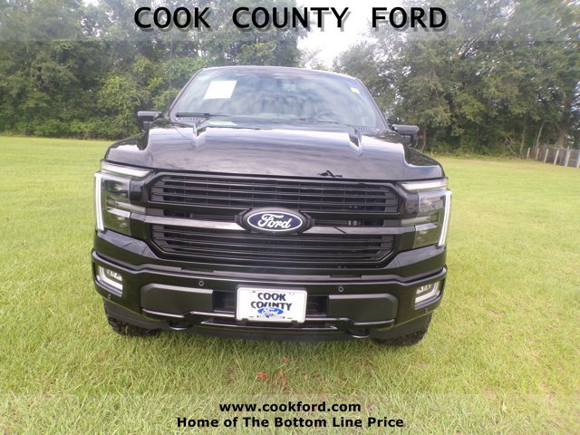 New 2026 Agate Black Metallic Ford Platinum® image 2