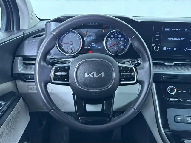 Used 2024 PANTHERA_METAL Kia LX image 13