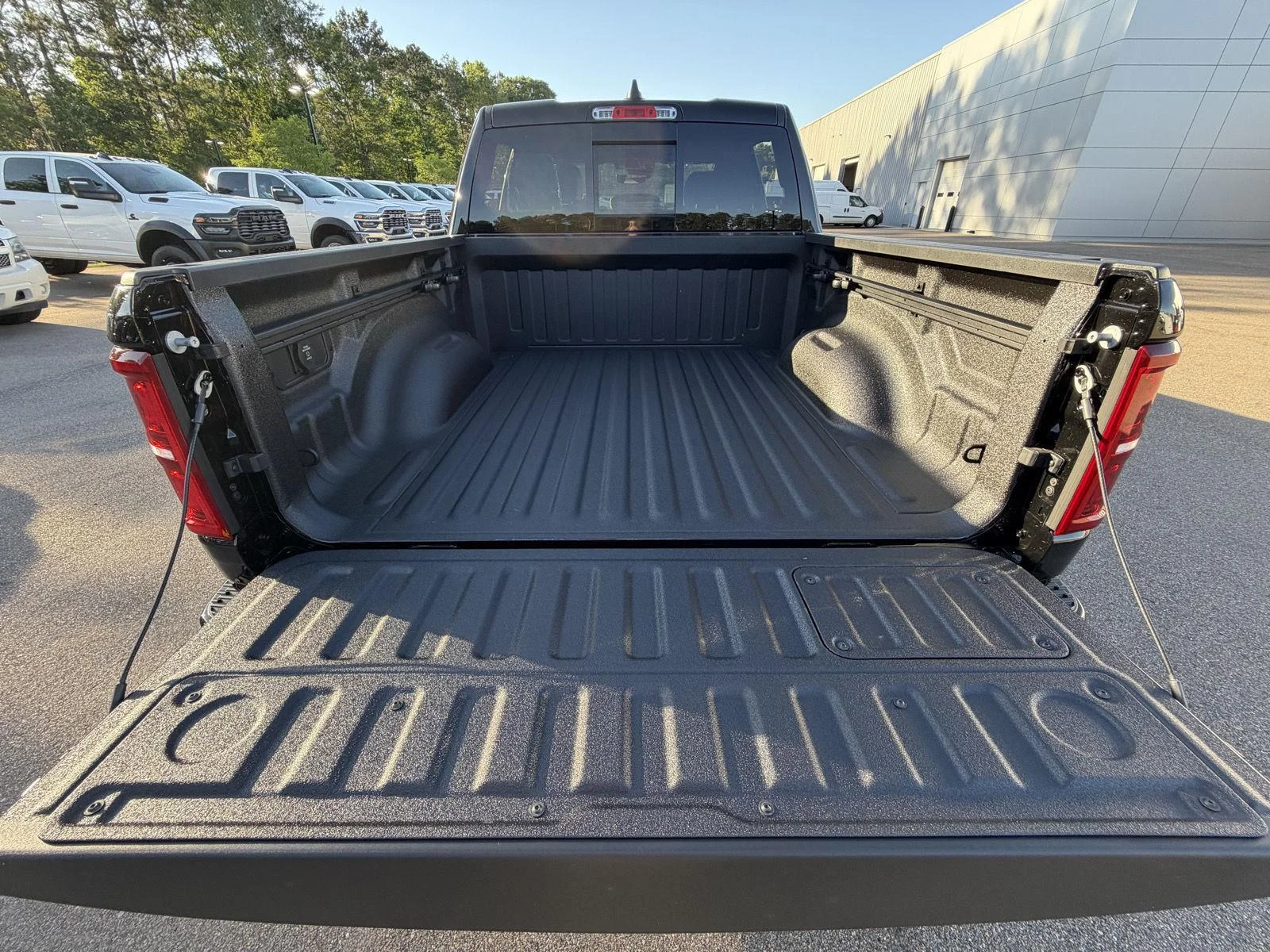 New 2026 Diamond Black Crystal Pearl-Coat Exterior Paint RAM Limited image 19