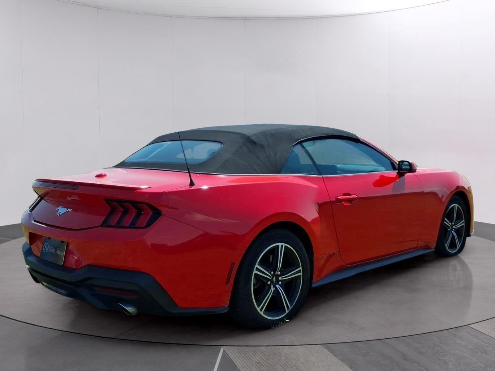 Used 2025 Race Red Ford EcoBoost Premium image 5