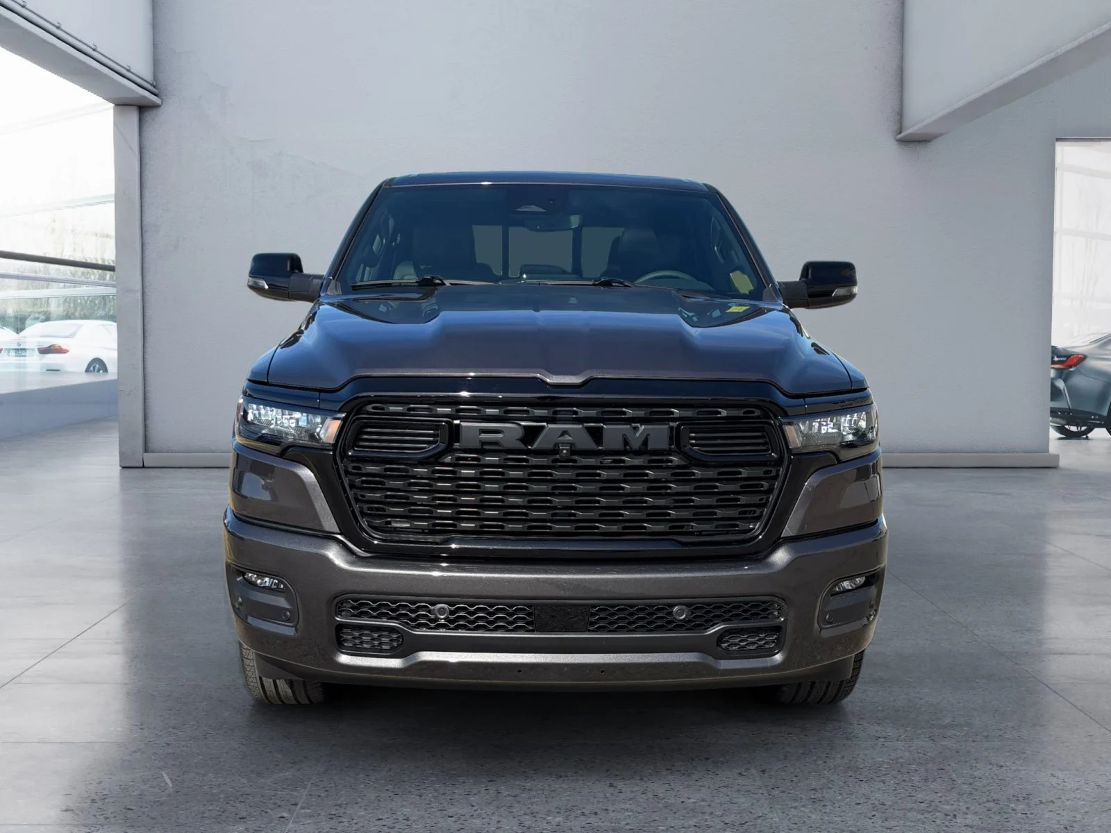 New 2027 Granite Crystal Metallic Ram Sport image 8