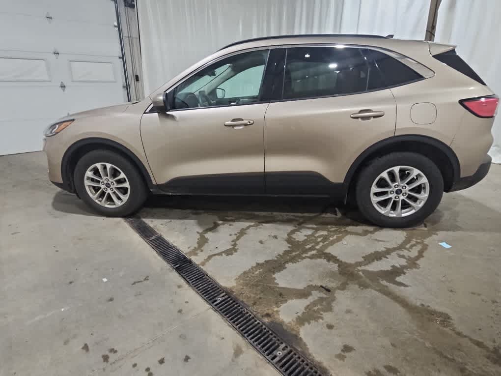 Used 2020 Desert Gold Metallic Ford SE image 3