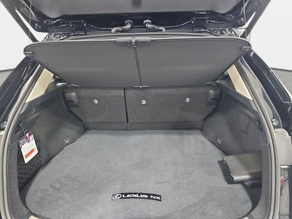 New 2026 Caviar Lexus PREMIUM image 12
