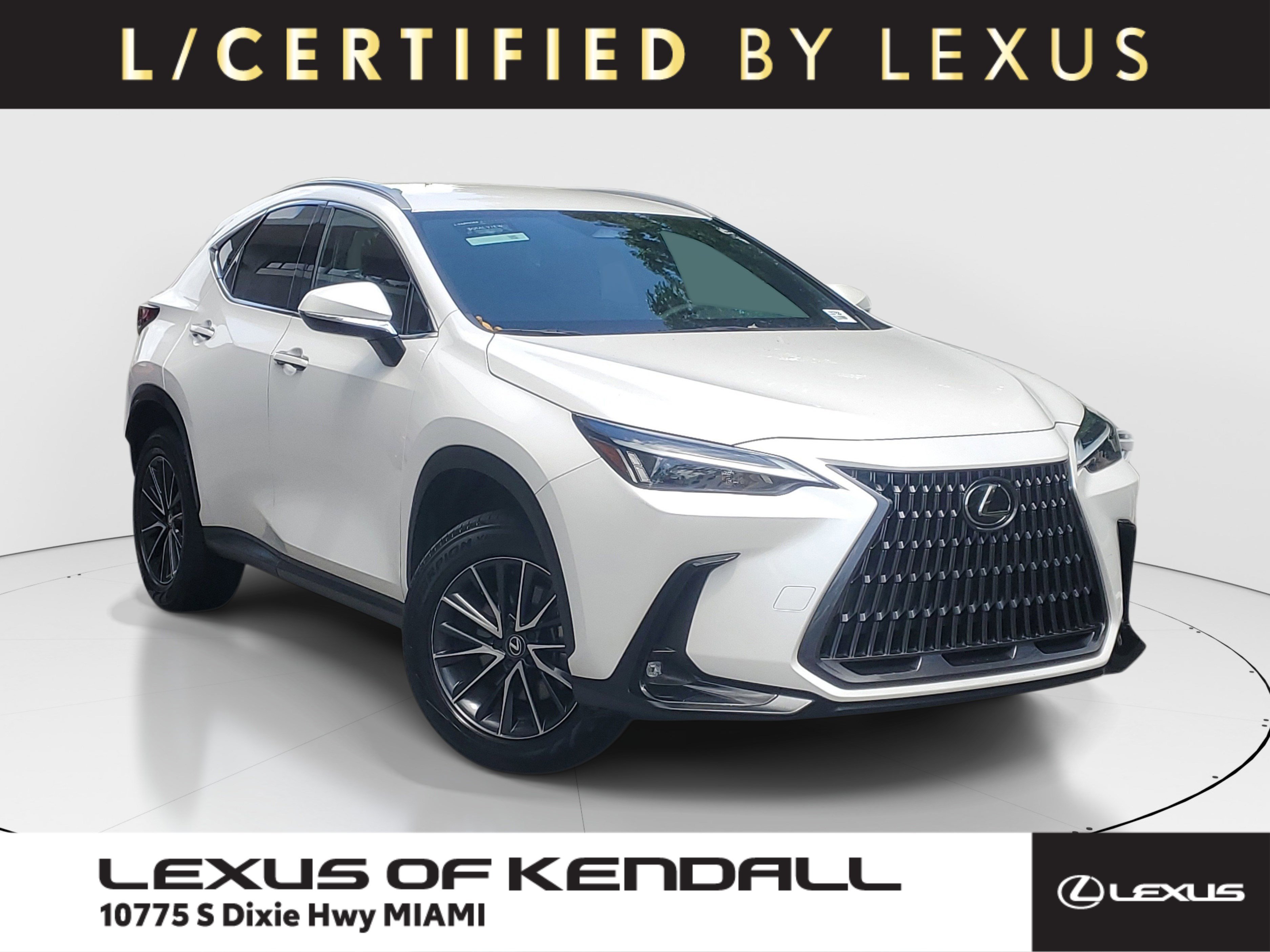 2024 Lexus NX