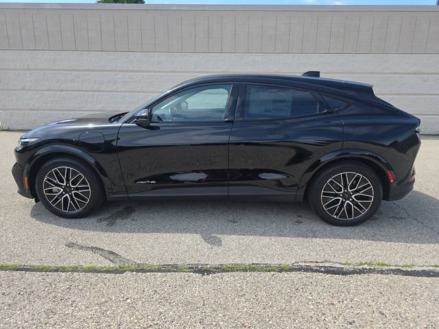 Used 2026 Black Ford Premium image 10