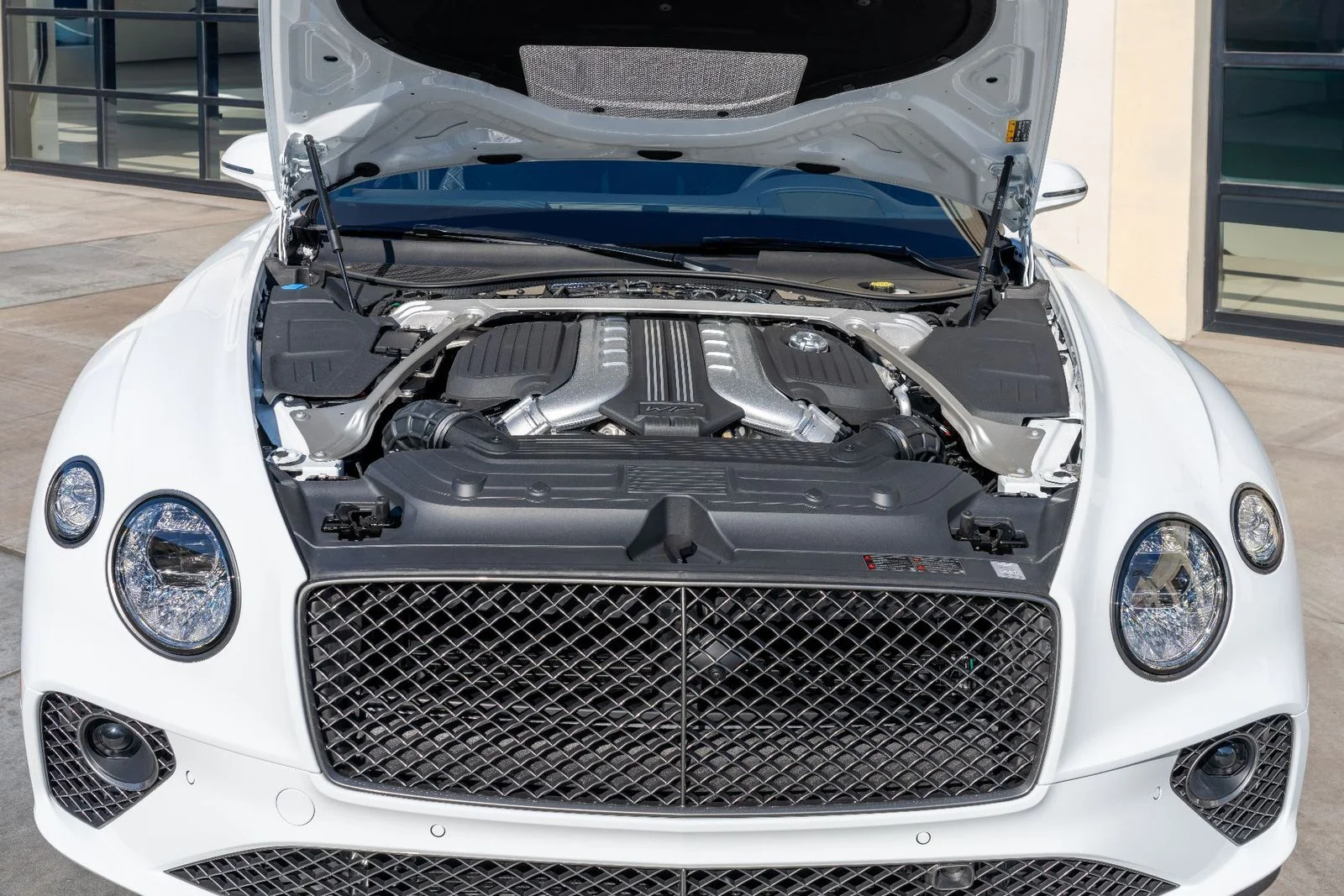 Used 2024 Arctica Bentley Speed image 24