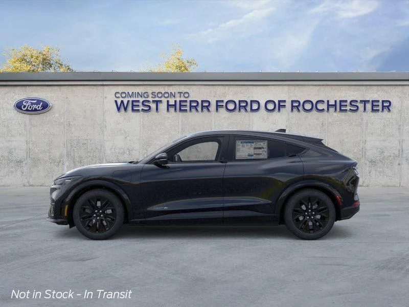 New 2026 Shadow Black Ford Premium image 4