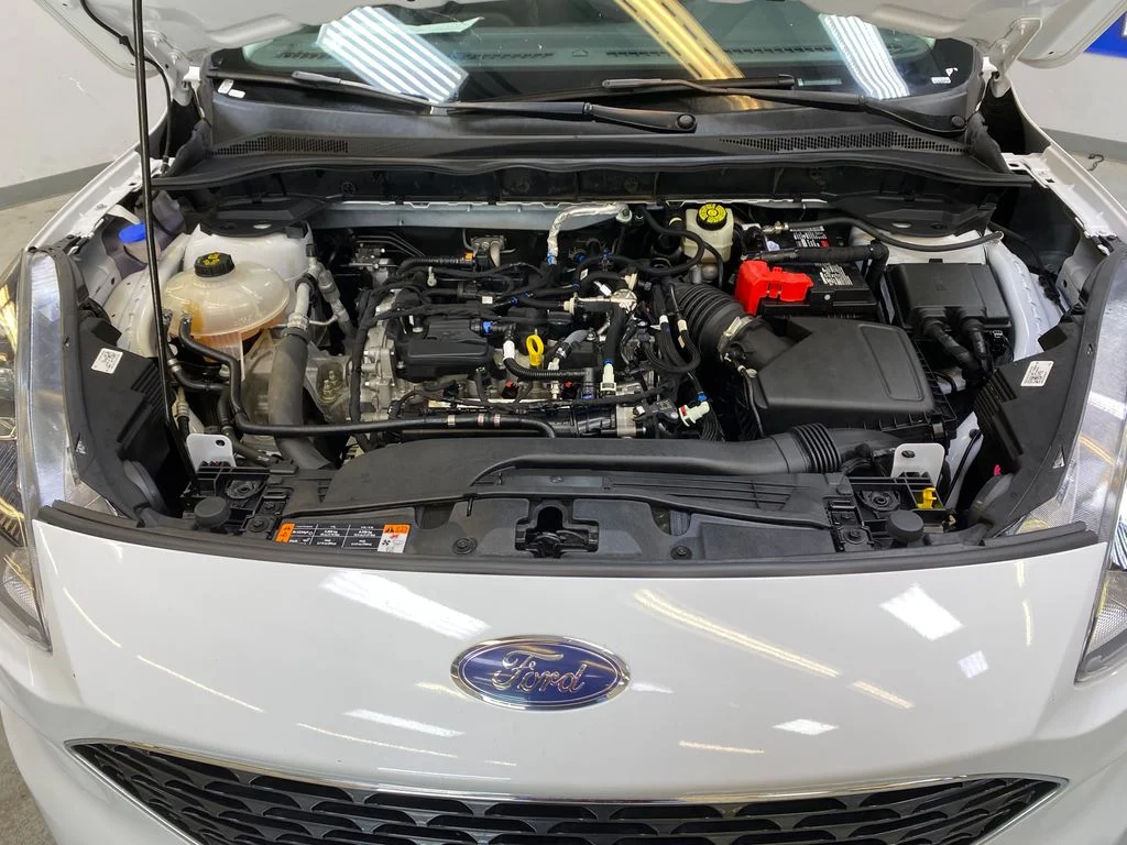 Used 2022 White Ford SEL image 9