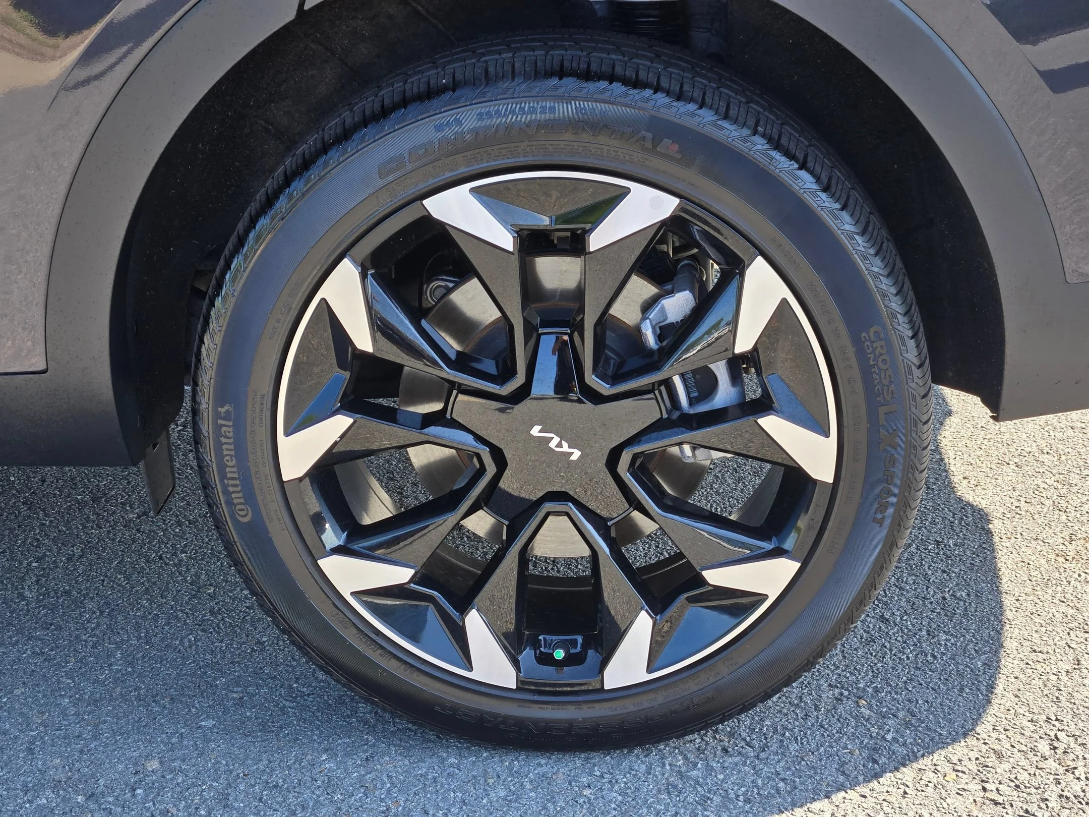 Used 2025 Panthera Metal Kia EX image 17