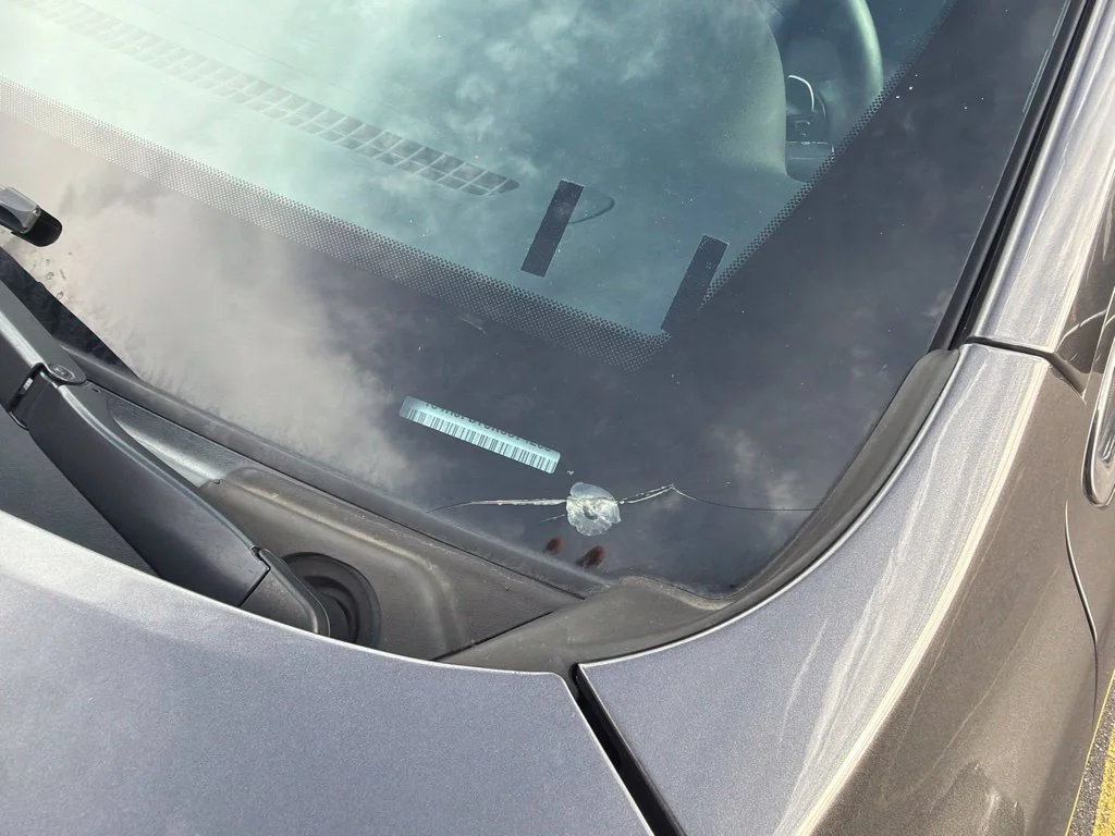 Used 2019 Gray Jeep Limited image 7