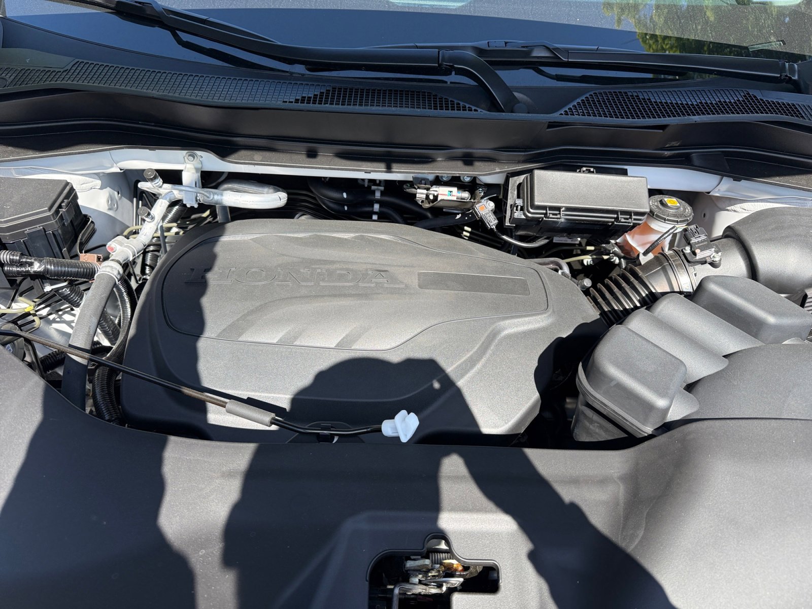 New 2026 Platinum White Pearl Honda RTL image 20