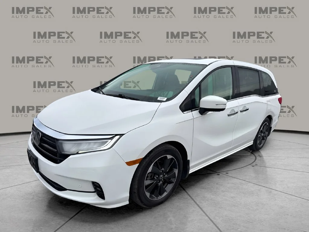 Used 2023 White Honda Elite image 1