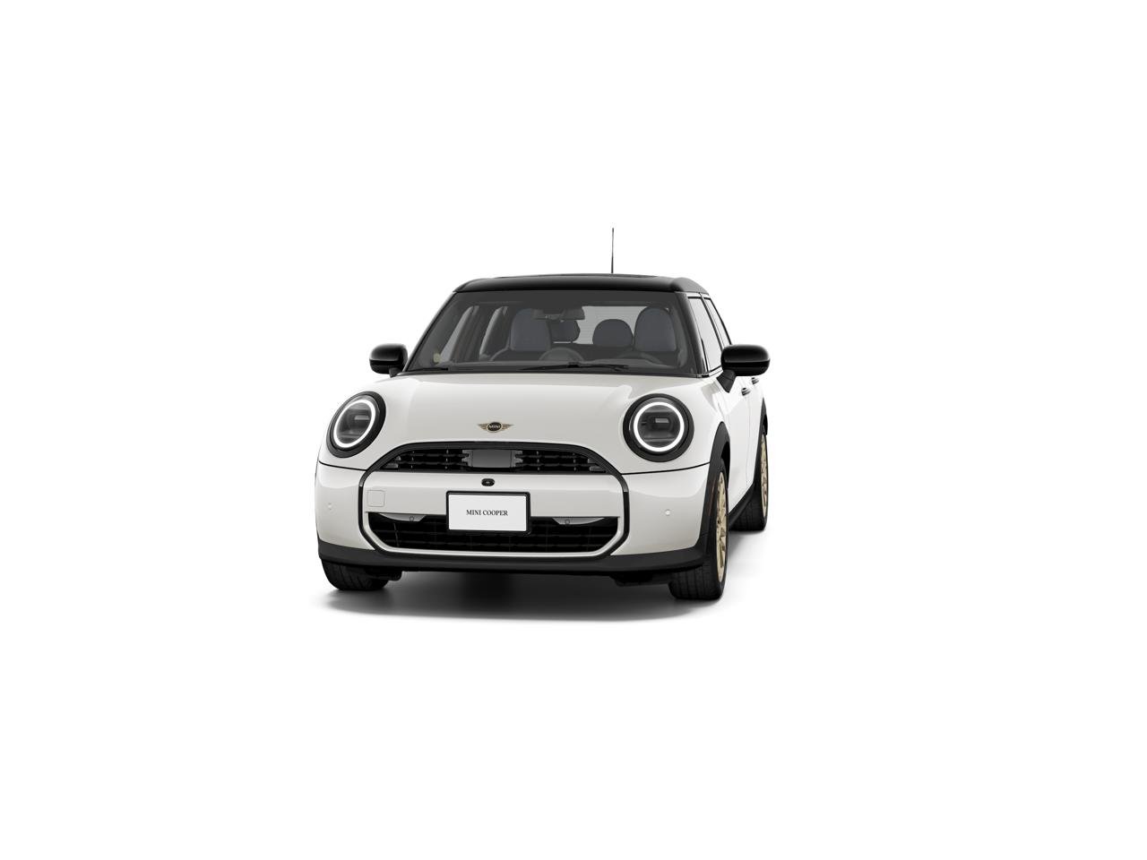 New 2027 Nanuq White Metallic MINI ICONIC image 3