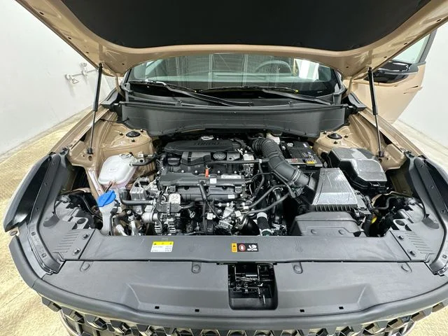 New 2027  Kia X-Line image 19