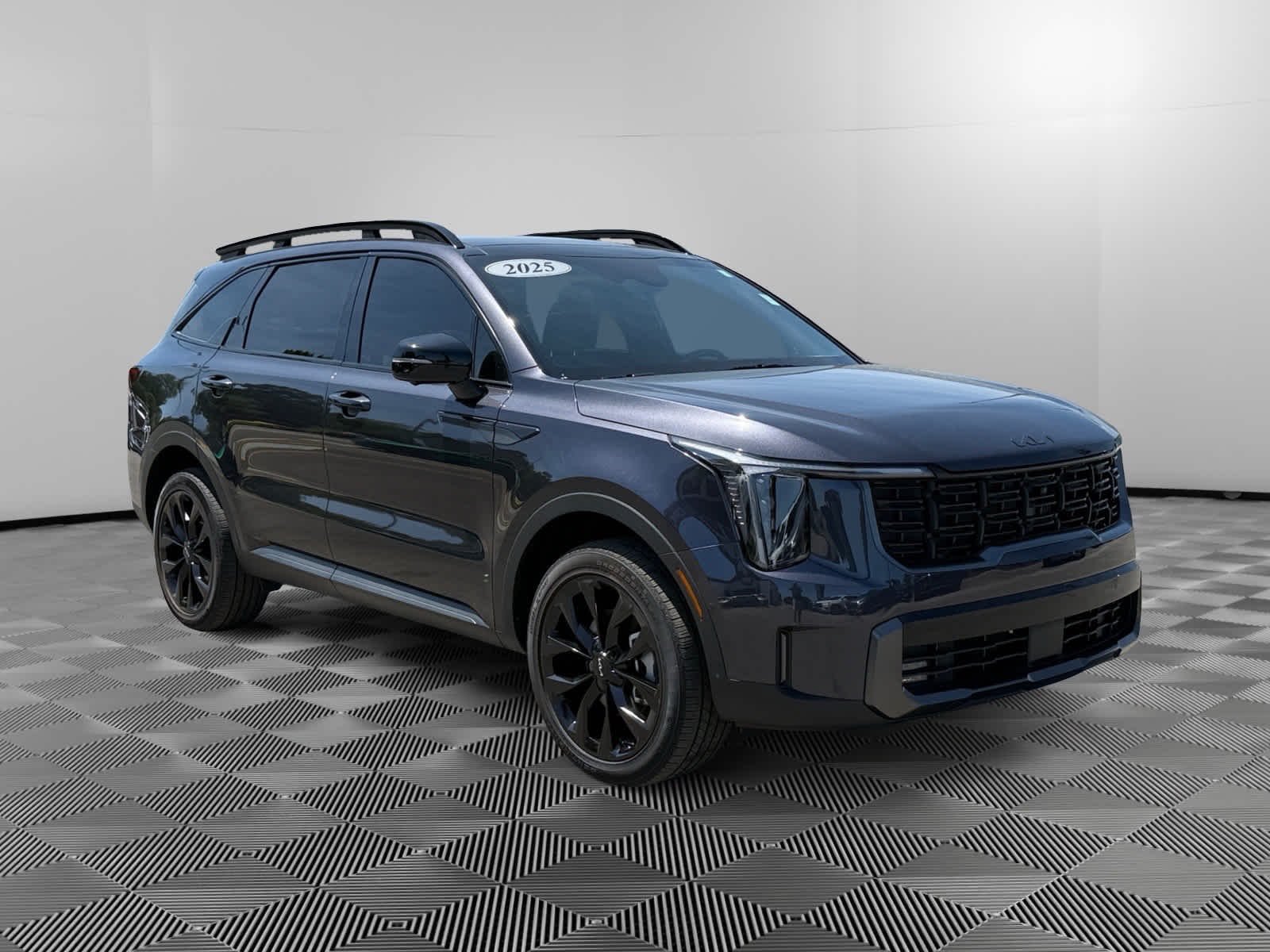 Used 2025 Panthera Metal Kia X-Line SX Prestige image 7
