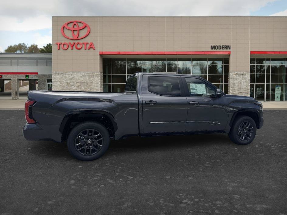 New 2026 Magnetic Gray Meta Toyota Platinum image 6