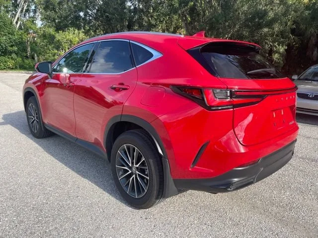 Used 2024 Red Line Lexus NX 250 Premium image 3