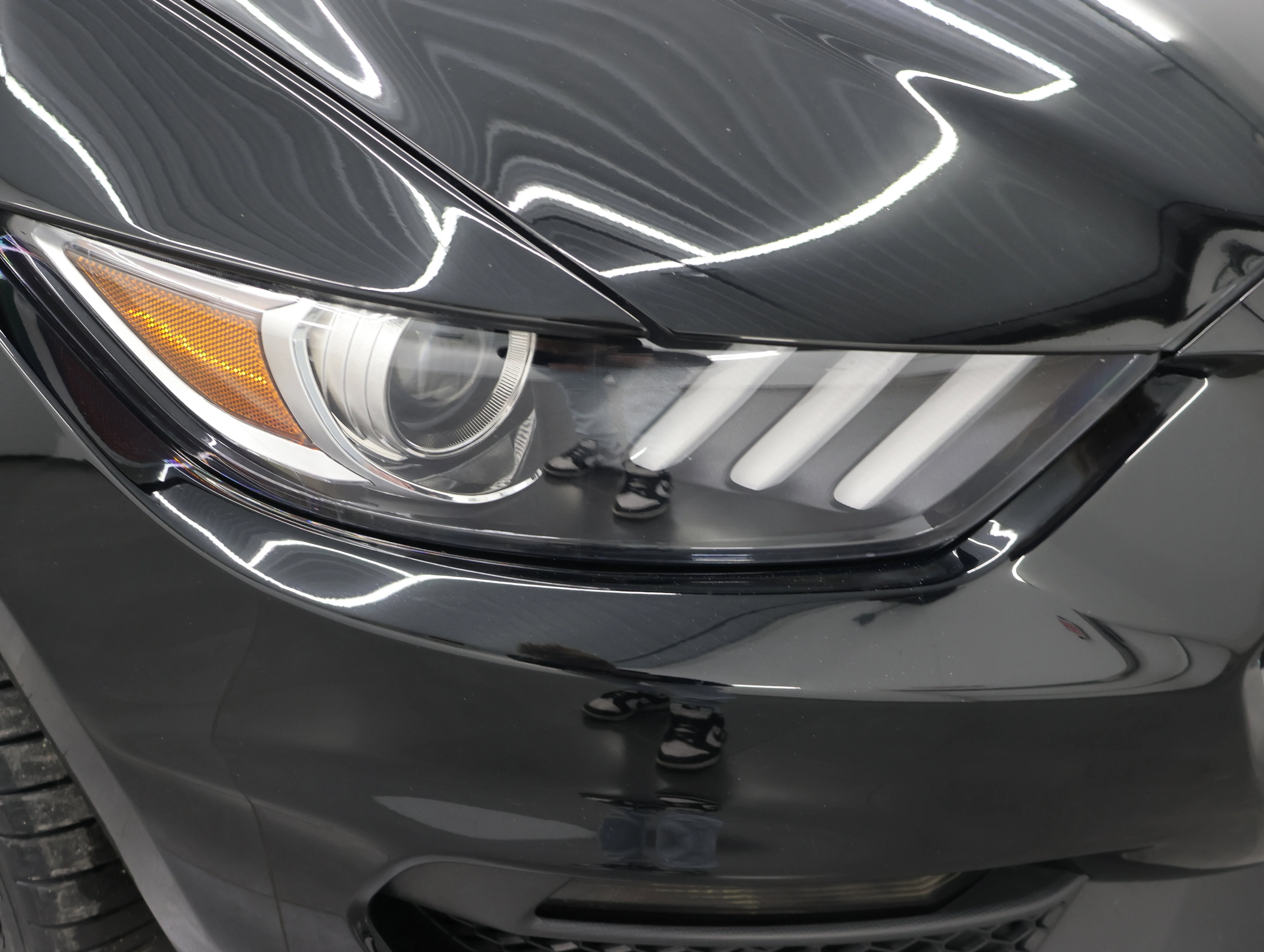 Used 2016 Shadow Black Ford Shelby GT350 image 19