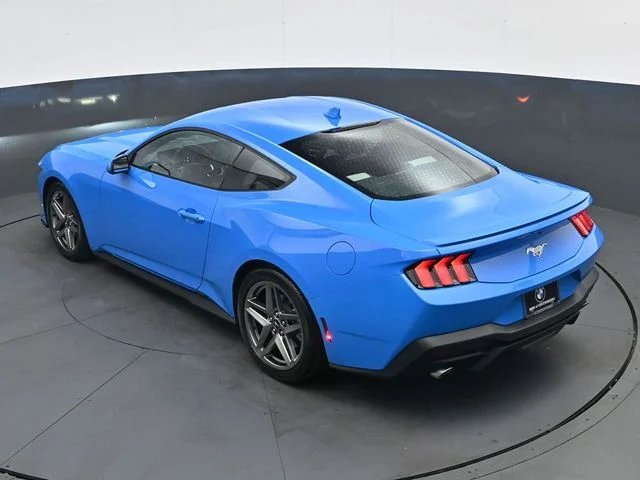 Used 2025 Blue Ford EcoBoost Premium image 29