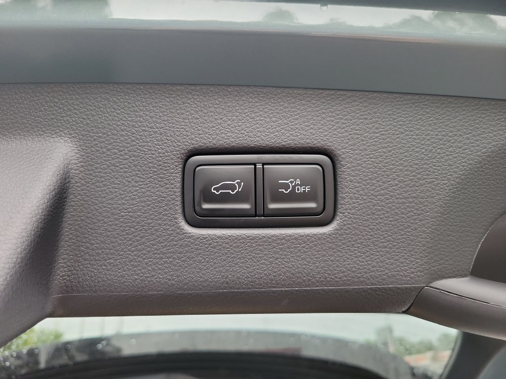 New 2027 Iceberg Green Kia EX image 15