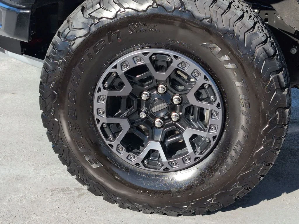 2025 Ford F-150 Raptor - Photo 9
