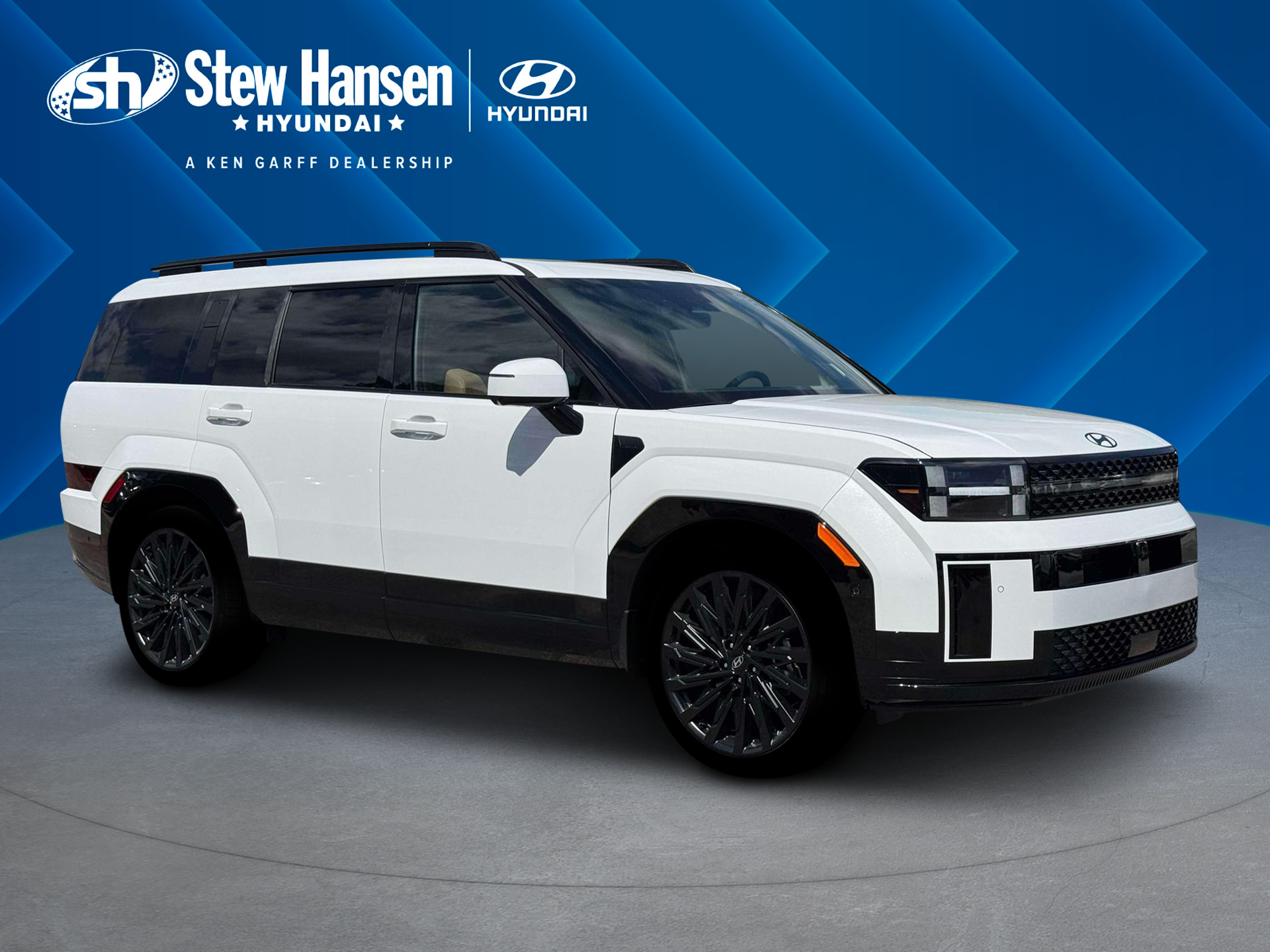 New 2026 Serenity White Hyundai Calligraphy image 29