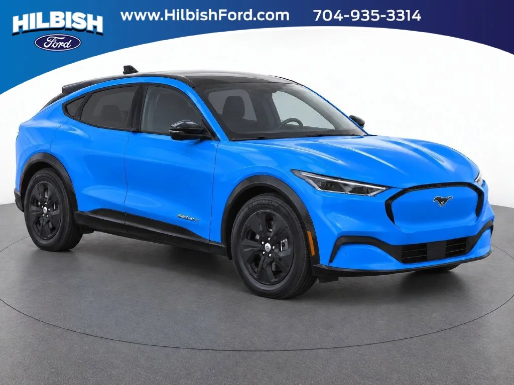 Used 2023 Blue Ford California Route 1 image 1