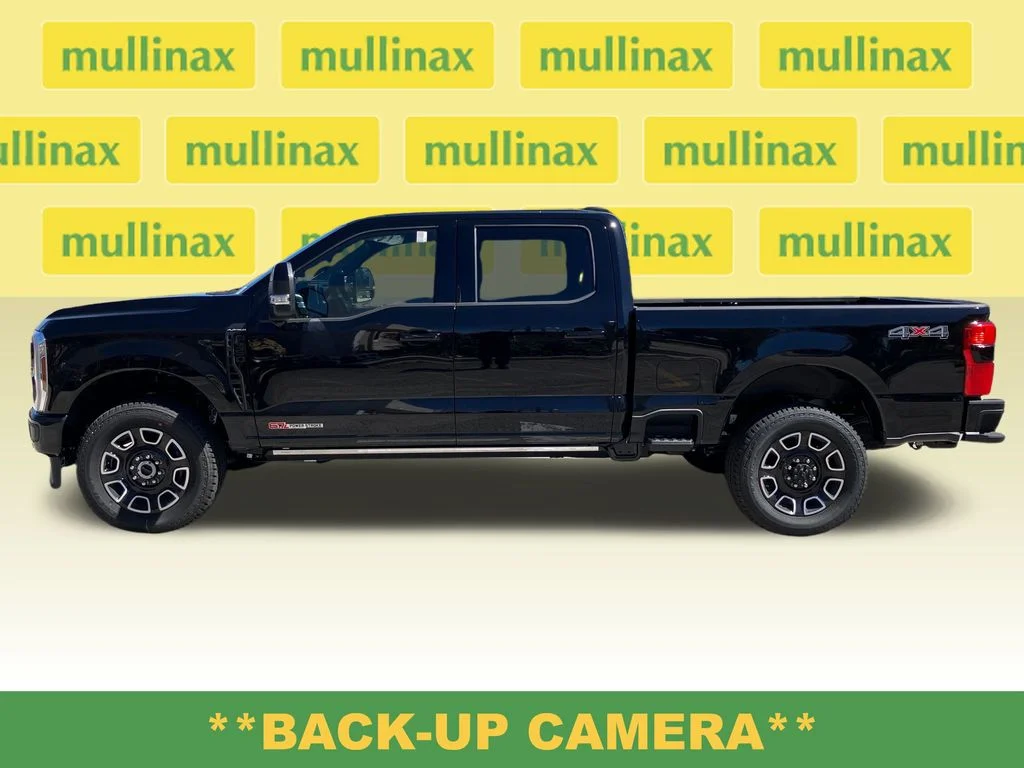New 2026 Black Ford Platinum image 9