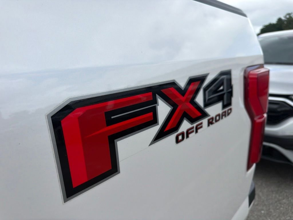 Used 2019 White Ford Platinum image 12