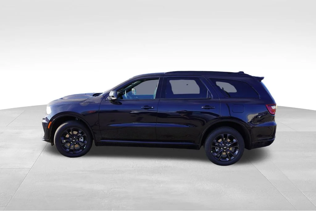 New 2026 Night Moves Dodge GT Plus image 6