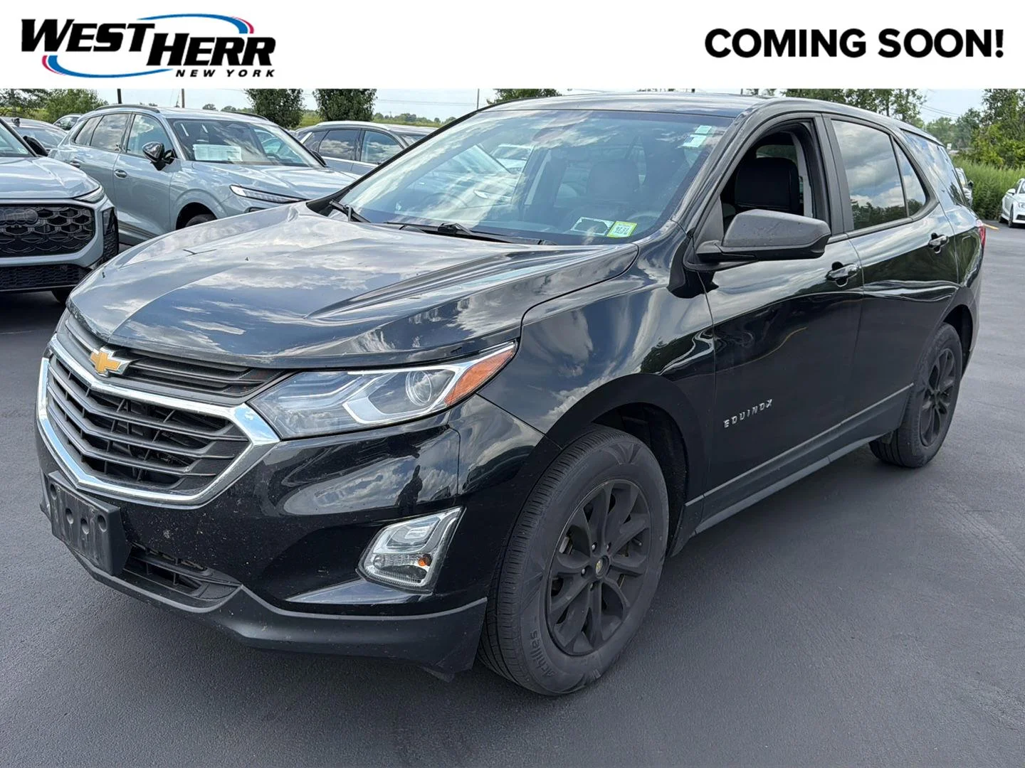 Used 2020 Mosaic Black Metallic Chevrolet LS image 1