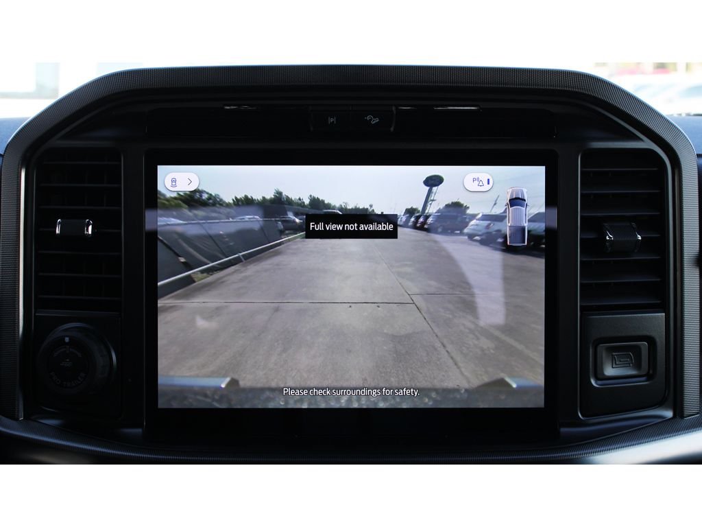 2025 Ford F-150 Platinum - Photo 14