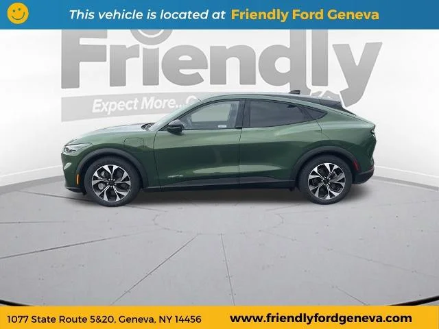 Used 2024 Eruption Green Metallic Ford Select image 8