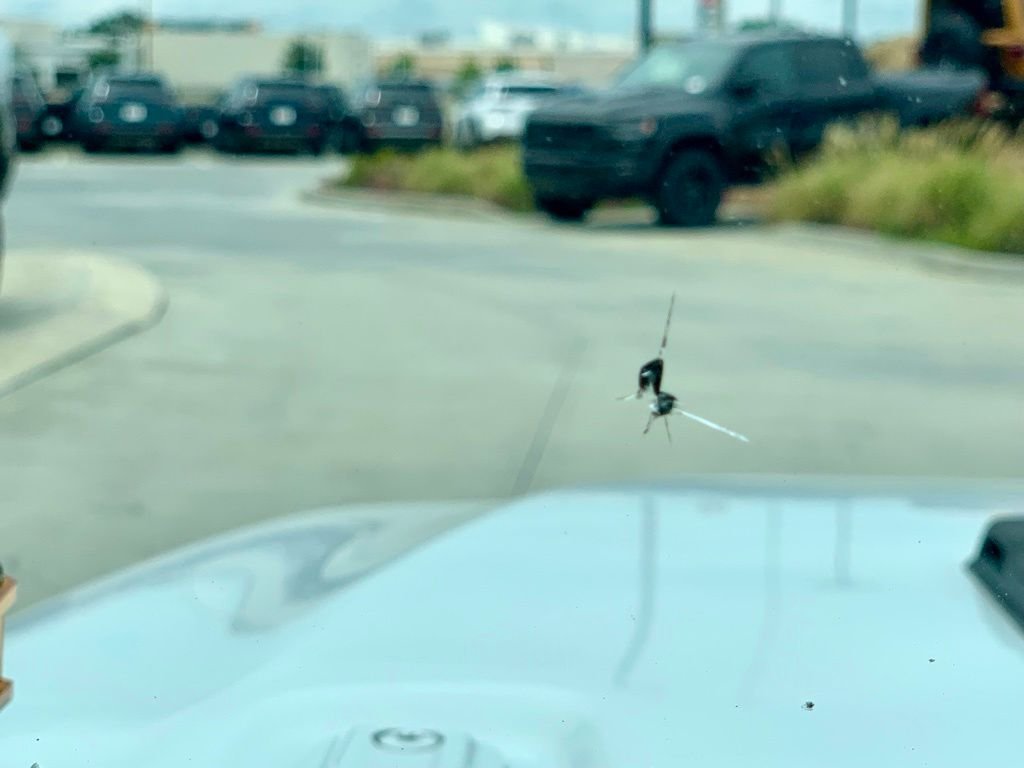 Used 2018 White Jeep Sport image 47