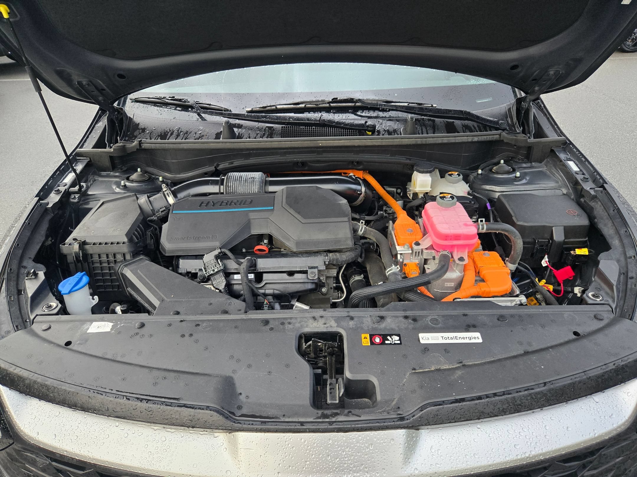 Used 2023 Fusion Black Kia LX image 18