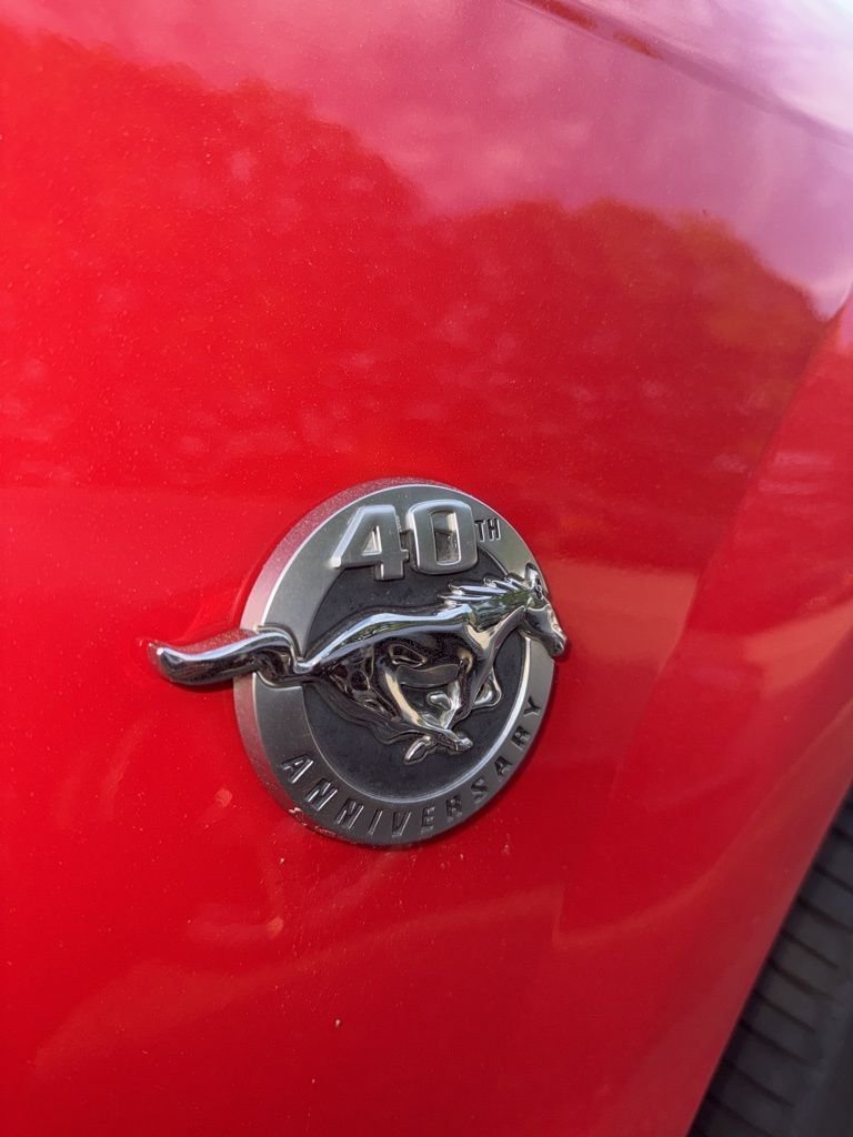 Used 2004 Red Ford GT image 5
