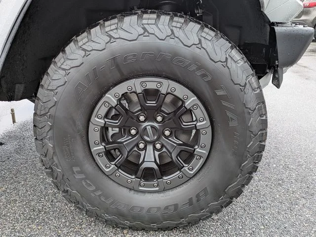 New 2026 Avalanche Gray Ford Raptor® image 11