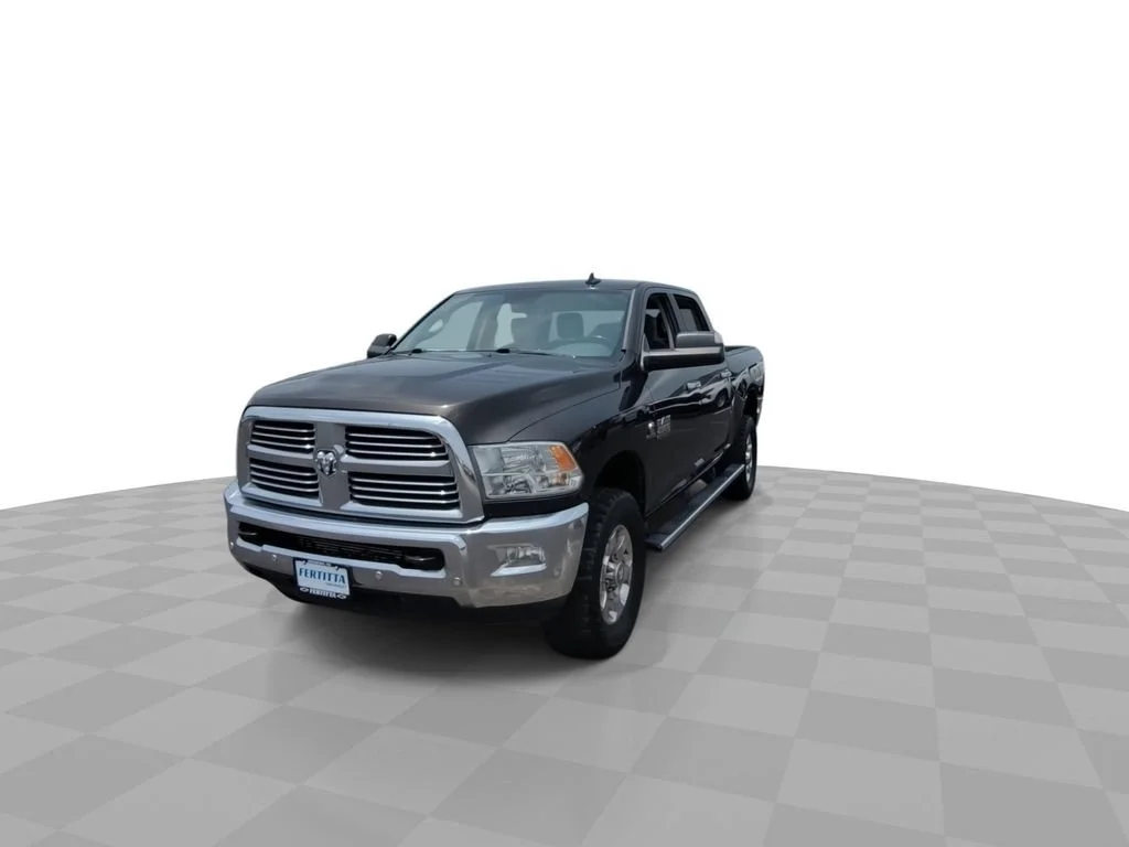 Used 2017 Brown Ram Lone Star image 3