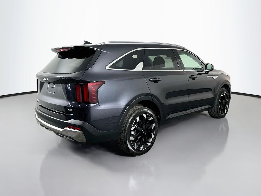 Used 2025 Panthera Metal Kia EX image 8