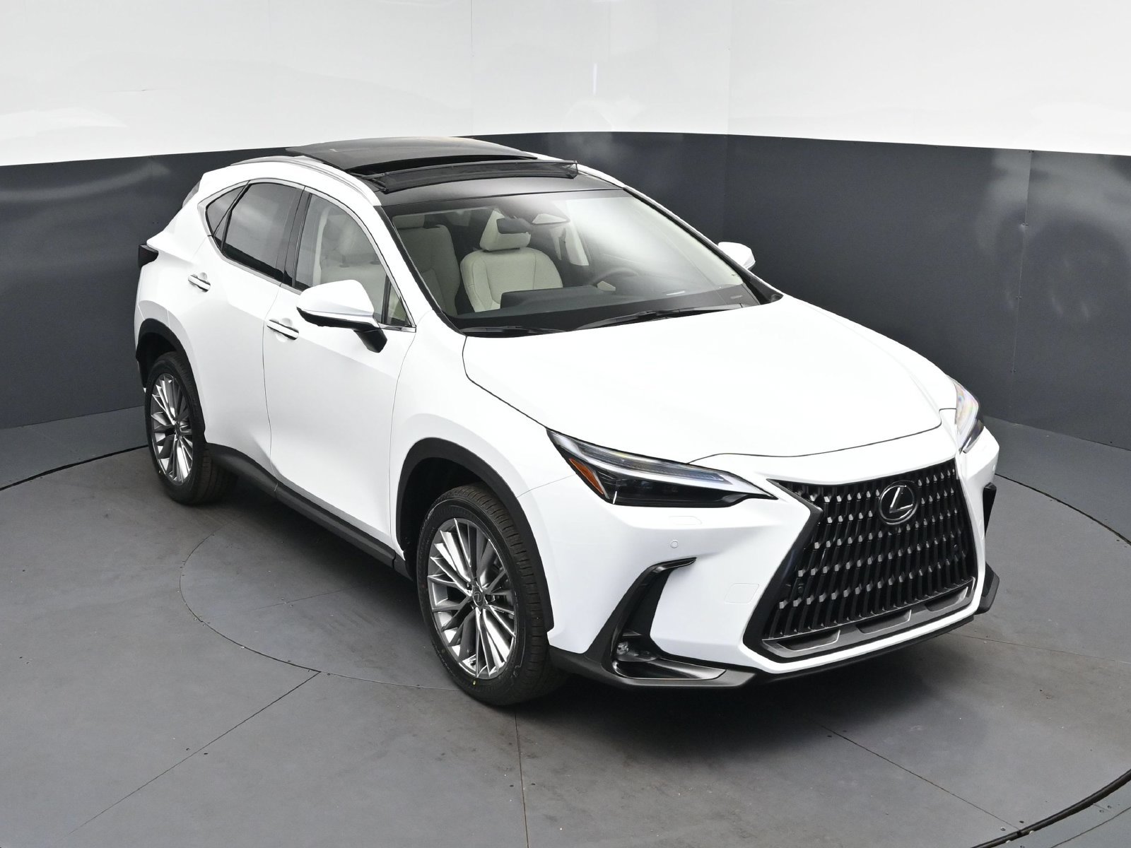2026 Lexus NX
