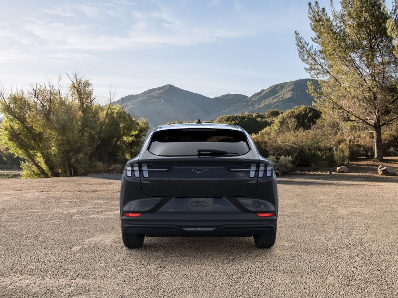 New 2026 Shadow Black Ford Premium image 33