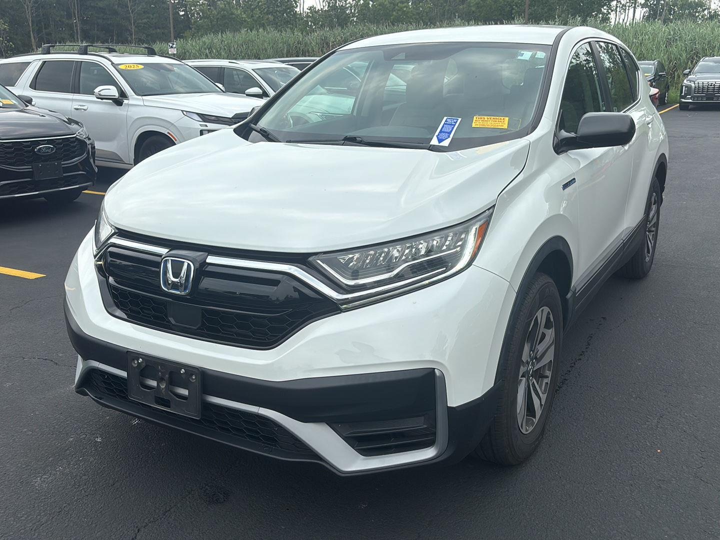 Used 2020 Platinum White Pearl Honda LX image 3