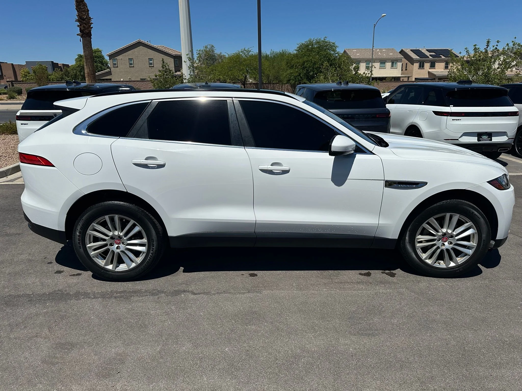 Used 2019 Fuji White Jaguar 25t Prestige image 3