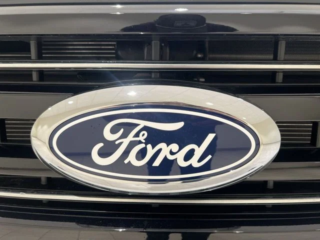 New 2027 Star White Metallic Tri-Coat Ford F-550® Platinum image 56