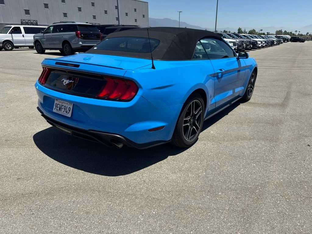 Used 2023 Grabber Blue Ford EcoBoost Premium image 8