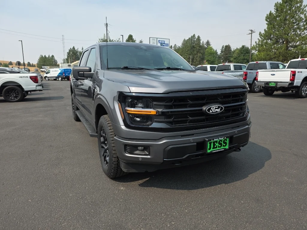 Certified Used 2025 Gray Metallic Ford XLT image 4