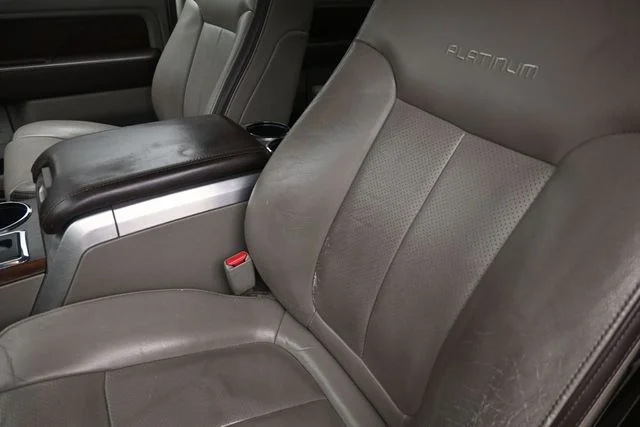 Used 2009  Ford Platinum image 17