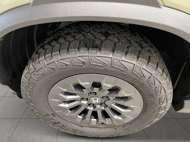 New 2026 Ash Green Metallic Honda TrailSport image 11