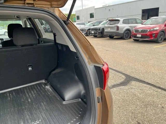 Used 2017 Burnished Copper Kia LX image 19
